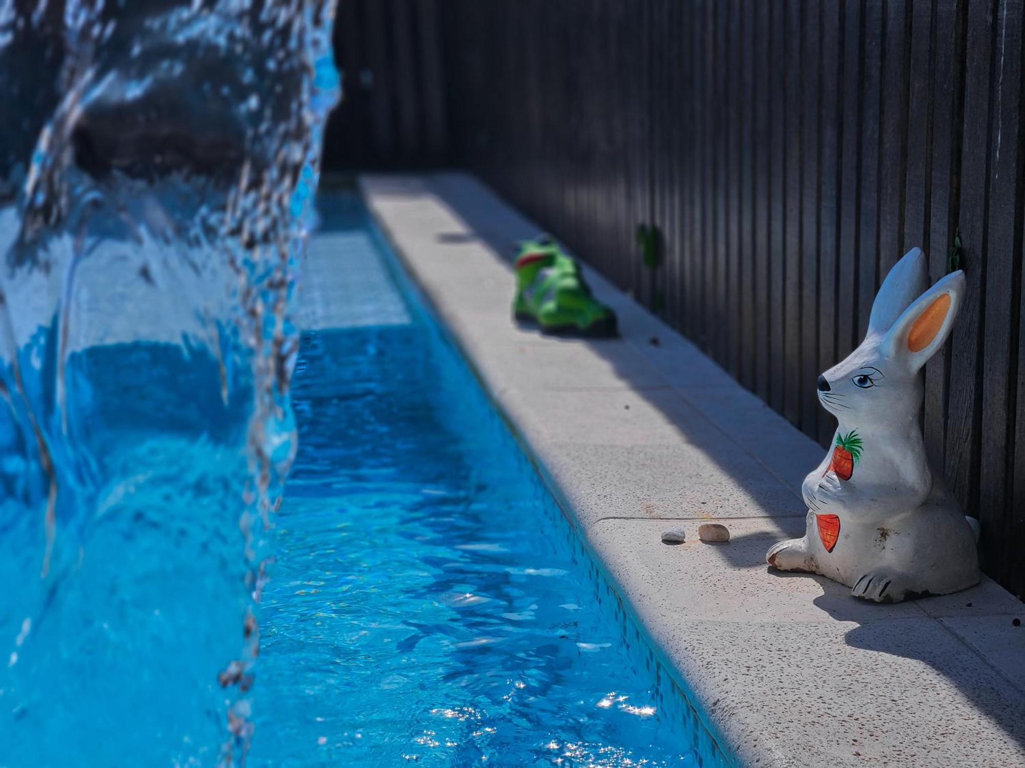 Bliss Hotéis Bella Vista Búzios Exterior foto A bunny watering can